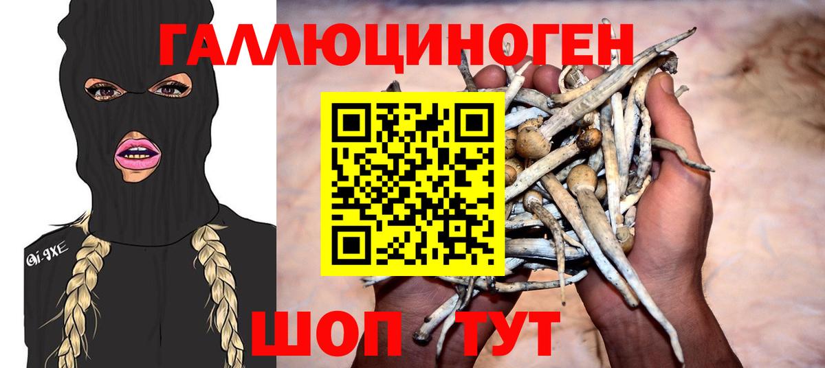 Псилоцибиновые грибы прущие грибы  Вход с VPN  Фролово 